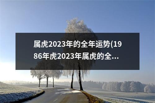 属虎2023年的全年运势(1986年虎2023年属虎的全年运势)