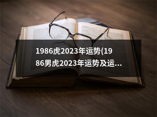 1986虎2023年运势(1986男虎2023年运势及运程)