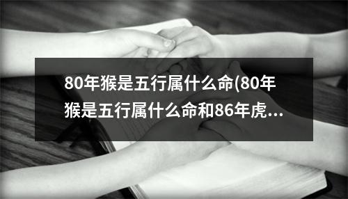 80年猴是五行属什么命(80年猴是五行属什么命和86年虎年运势)