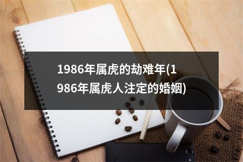 1986年属虎的劫难年(1986年属虎人注定的婚姻)