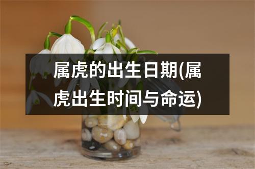 属虎的出生日期(属虎出生时间与命运)