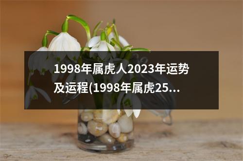 1998年属虎人2023年运势及运程(1998年属虎25岁以后一生命运)