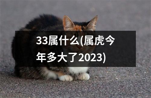 33属什么(属虎今年多大了2023)