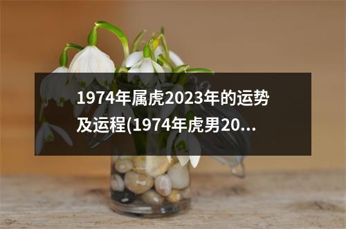 1974年属虎2023年的运势及运程(1974年虎男2023年运势完整版)