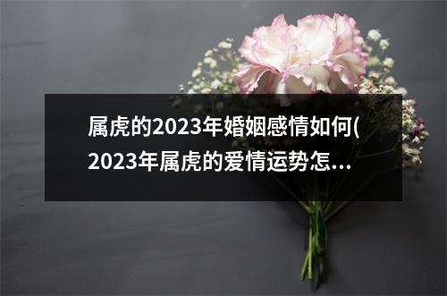 属虎的2023年婚姻感情如何(2023年属虎的爱情运势怎么样)