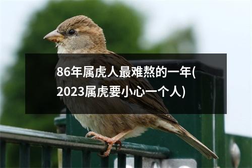 86年属虎人难熬的一年(2023属虎要小心一个人)