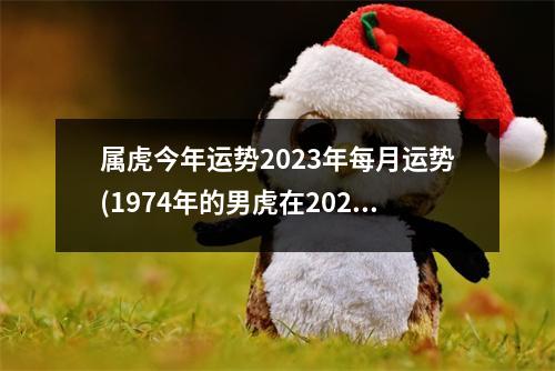 属虎今年运势2023年每月运势(1974年的男虎在2023年的财运怎样)