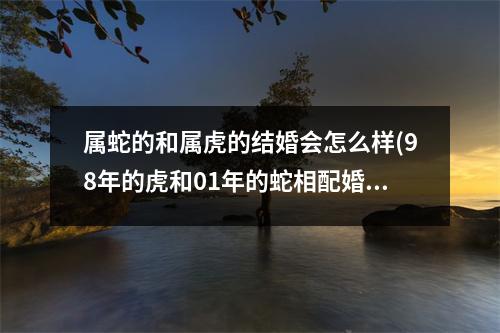 属蛇的和属虎的结婚会怎么样(98年的虎和01年的蛇相配婚姻如何)