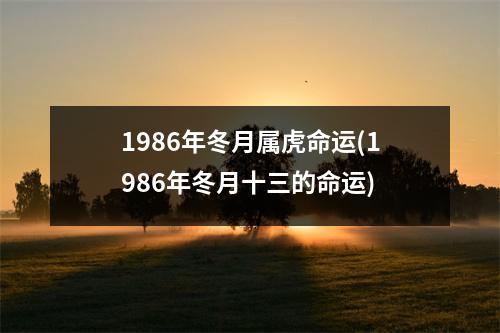 1986年冬月属虎命运(1986年冬月十三的命运)