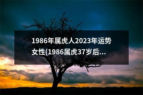 1986年属虎人2023年运势女性(1986属虎37岁后有十年大运)