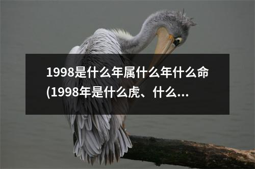 1998是什么年属什么年什么命(1998年是什么虎、什么命)