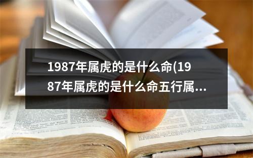 1987年属虎的是什么命(1987年属虎的是什么命五行属性)