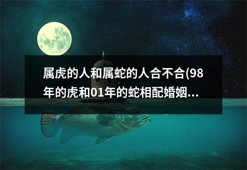 属虎的人和属蛇的人合不合(98年的虎和01年的蛇相配婚姻如何)