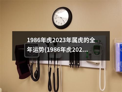 1986年虎2023年属虎的全年运势(1986年虎2023年属虎的全年运势今年可以做点小生意吗)