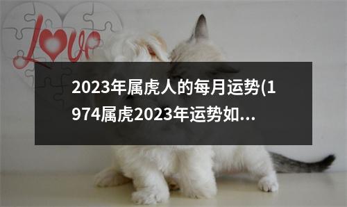 2023年属虎人的每月运势(1974属虎2023年运势如何)