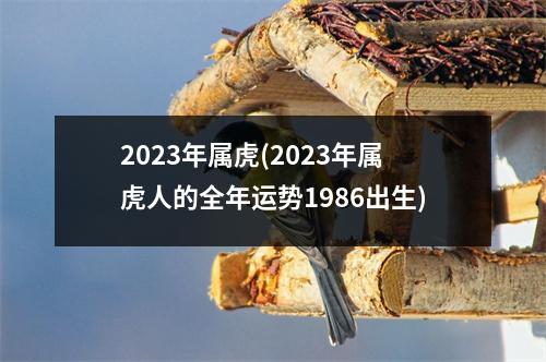 2023年属虎(2023年属虎人的全年运势1986出生)