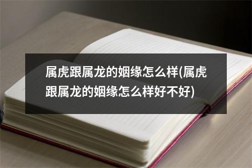 属虎跟属龙的姻缘怎么样(属虎跟属龙的姻缘怎么样好不好)