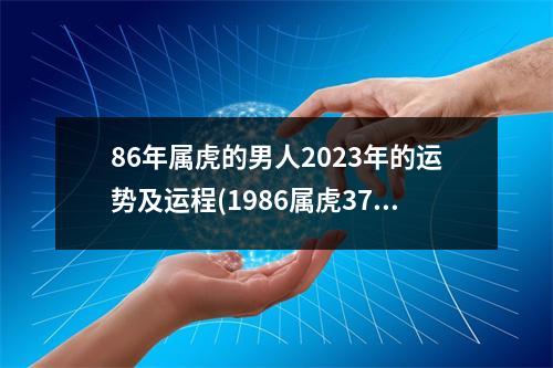 86年属虎的男人2023年的运势及运程(1986属虎37岁后有十年大运)