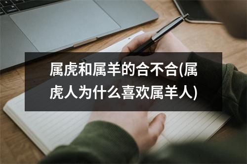 属虎和属羊的合不合(属虎人为什么喜欢属羊人)