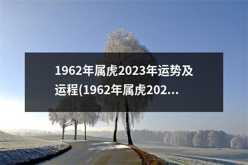 1962年属虎2023年运势及运程(1962年属虎2023年运势及运程男性)