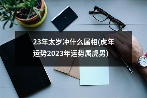 23年太岁冲什么属相(虎年运势2023年运势属虎男)