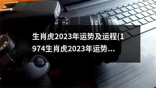 生肖虎2023年运势及运程(1974生肖虎2023年运势及运程)