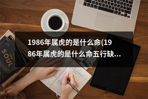 1986年属虎的是什么命(1986年属虎的是什么命五行缺什么)