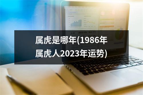 属虎是哪年(1986年属虎人2023年运势)