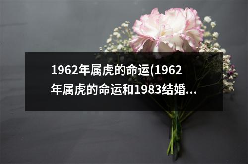 1962年属虎的命运(1962年属虎的命运和1983结婚合不合适)