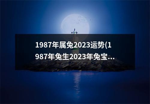 1987年属兔2023运势(1987年兔生2023年兔宝宝好吗)