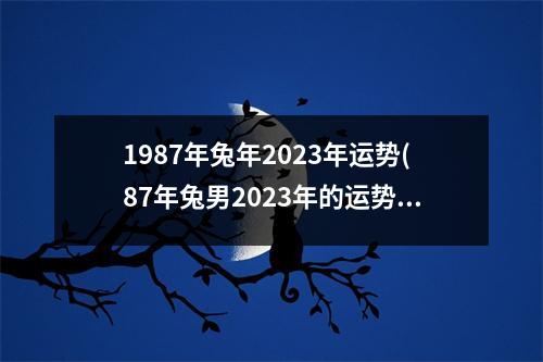 1987年兔年2023年运势(87年兔男2023年的运势和财运)