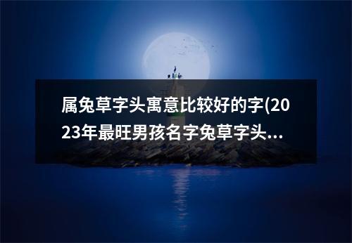 属兔草字头寓意比较好的字(2023年旺男孩名字兔草字头)