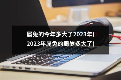 属兔的今年多大了2023年(2023年属兔的周岁多大了)