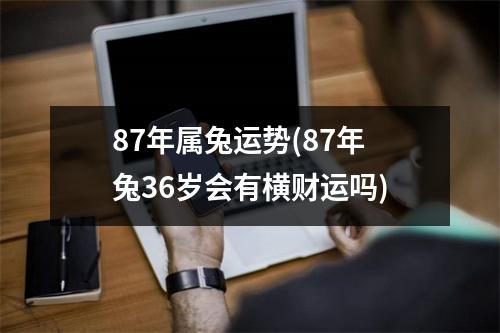 87年属兔运势(87年兔36岁会有横财运吗)