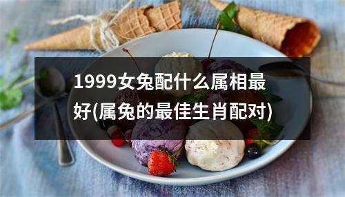 1999女兔配什么属相好(属兔的佳生肖配对)