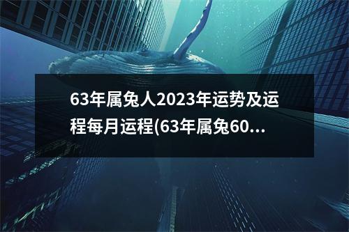 63年属兔人2023年运势及运程每月运程(63年属兔60岁有一劫2023年)