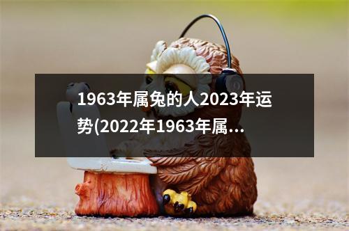 1963年属兔的人2023年运势(2022年1963年属兔人的全年运势)