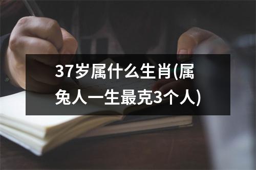 37岁属什么生肖(属兔人一生克3个人)