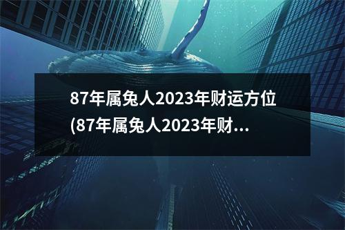 87年属兔人2023年财运方位(87年属兔人2023年财运方位1月)