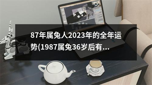 87年属兔人2023年的全年运势(1987属兔36岁后有十年大运)