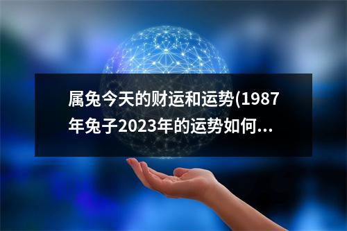 属兔今天的财运和运势(1987年兔子2023年的运势如何)