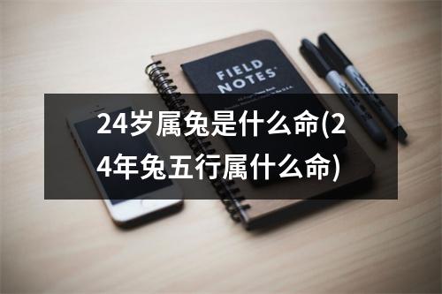 24岁属兔是什么命(24年兔五行属什么命)