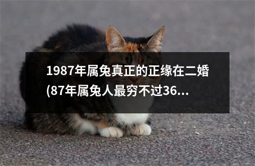 1987年属兔真正的正缘在二婚(87年属兔人穷不过36岁)