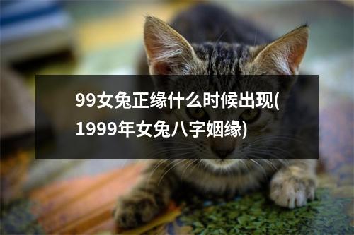 99女兔正缘什么时候出现(1999年女兔八字姻缘)