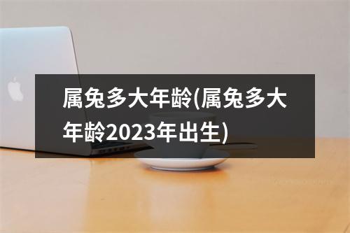 属兔多大年龄(属兔多大年龄2023年出生)