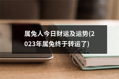 属兔人今日财运及运势(2023年属兔终于转运了)