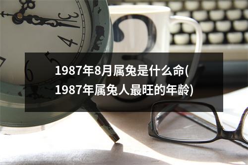 1987年8月属兔是什么命(1987年属兔人旺的年龄)