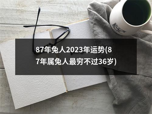 87年兔人2023年运势(87年属兔人穷不过36岁)