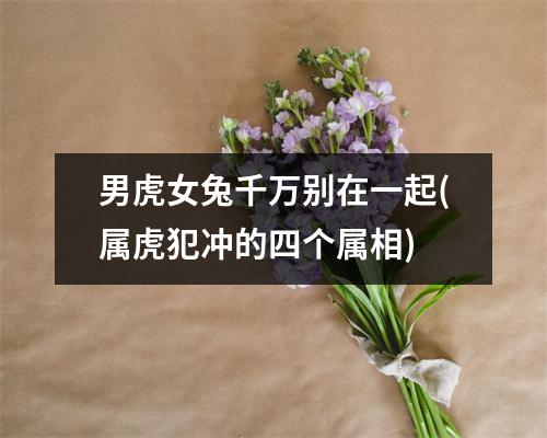 男虎女兔千万别在一起(属虎犯冲的四个属相)