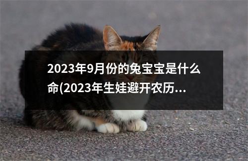 2023年9月份的兔宝宝是什么命(2023年生娃避开农历几月)